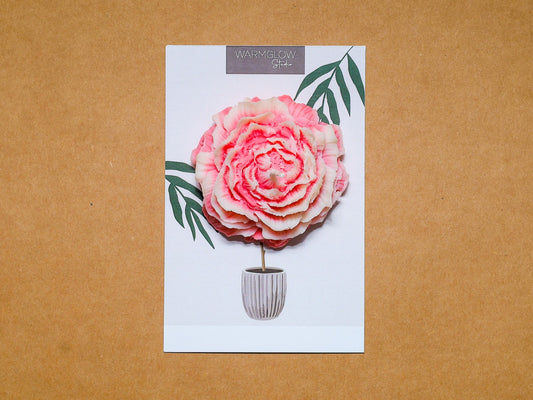 Flower Card Gifting Pack 499 for a Pack of 5